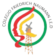 Friedrich_Naumann-removebg-preview (1)